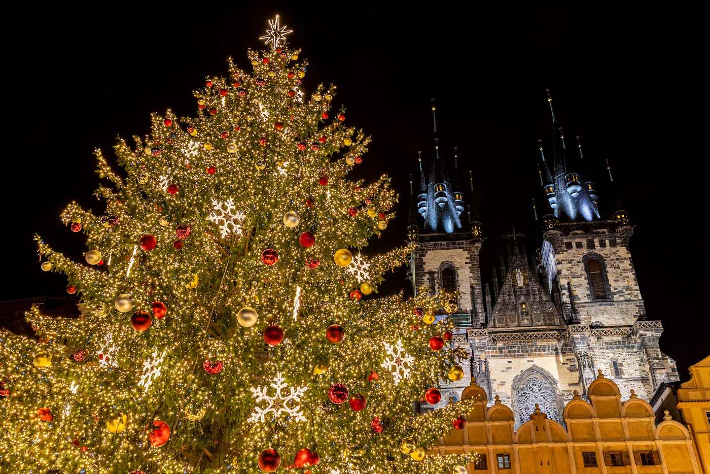 Der beleuchtete Weihnachtsbaum auf dem Altstädter Ring vor den Türmen der Teynkirche.